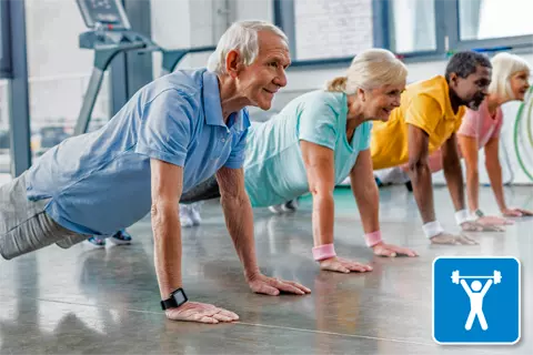 Gyms & Training Centers